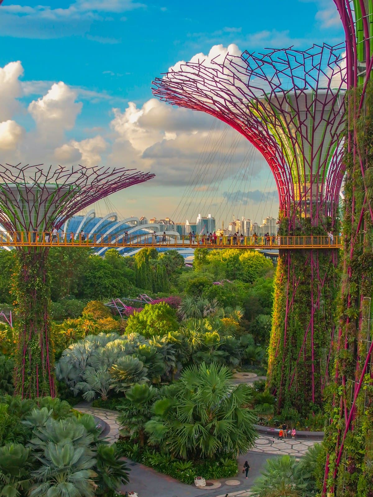 Arigato – Singapore